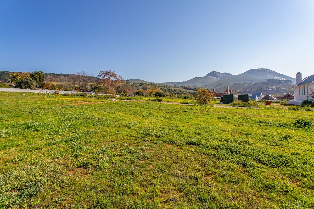 A vacant residential plot featuring natural grass coverage and scenic mountain views, offering a blank canvas for future development.