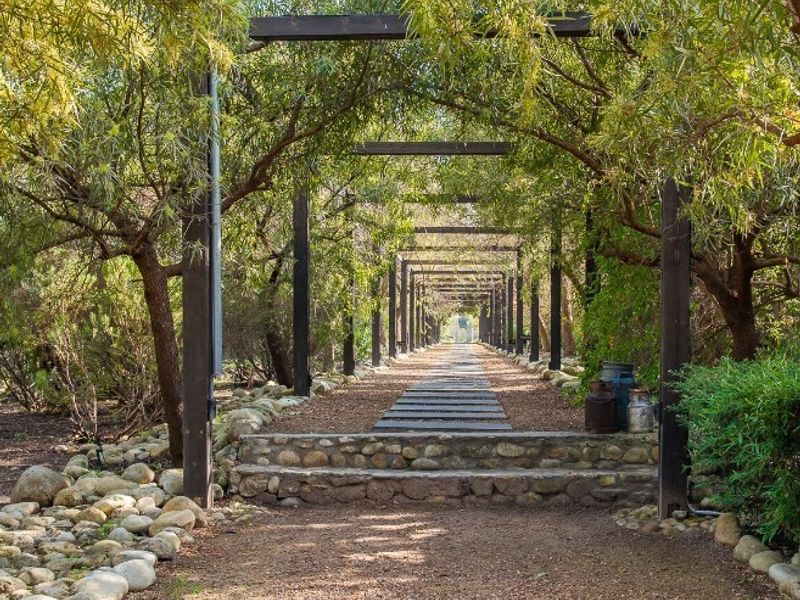 Opportunity to own 6 hectares in a gated farm area - Photo 5