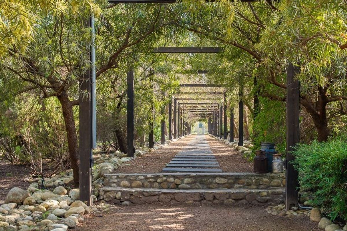 Opportunity to own 6 hectares in a gated farm area - Photo 5