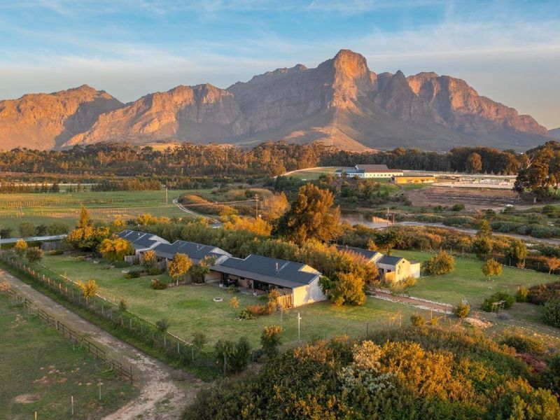 Opportunity to own 6 hectares in a gated farm area - Photo 8