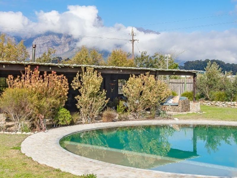 Opportunity to own 6 hectares in a gated farm area - Photo 6