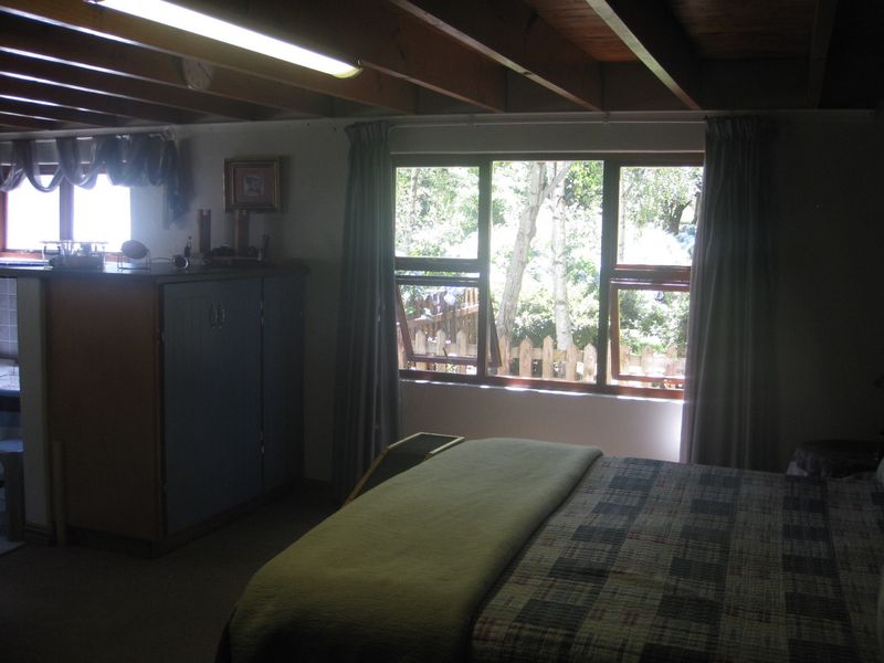 LIFESTYLE PROPERTY FOR SALE - HOGSBACK - Photo 4