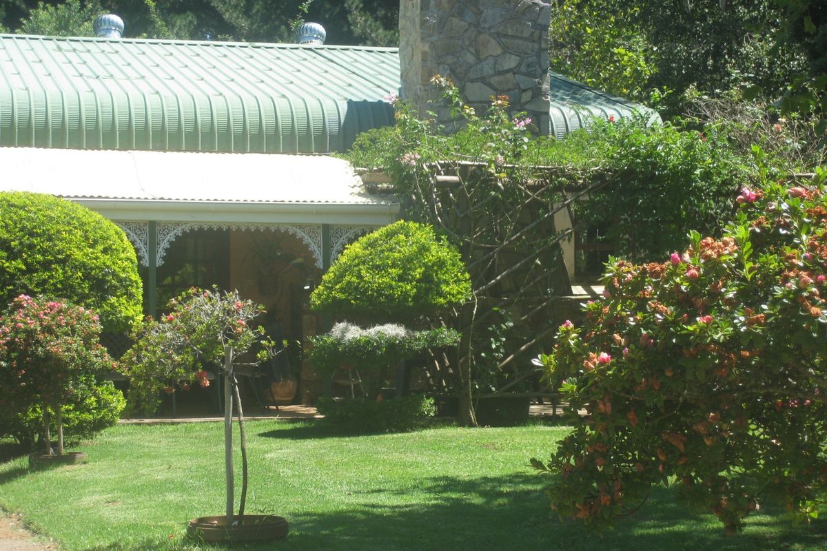 A view of the rear garden featuring a stone chimney, metal roof, and a covered patio area with decorative ironwork.