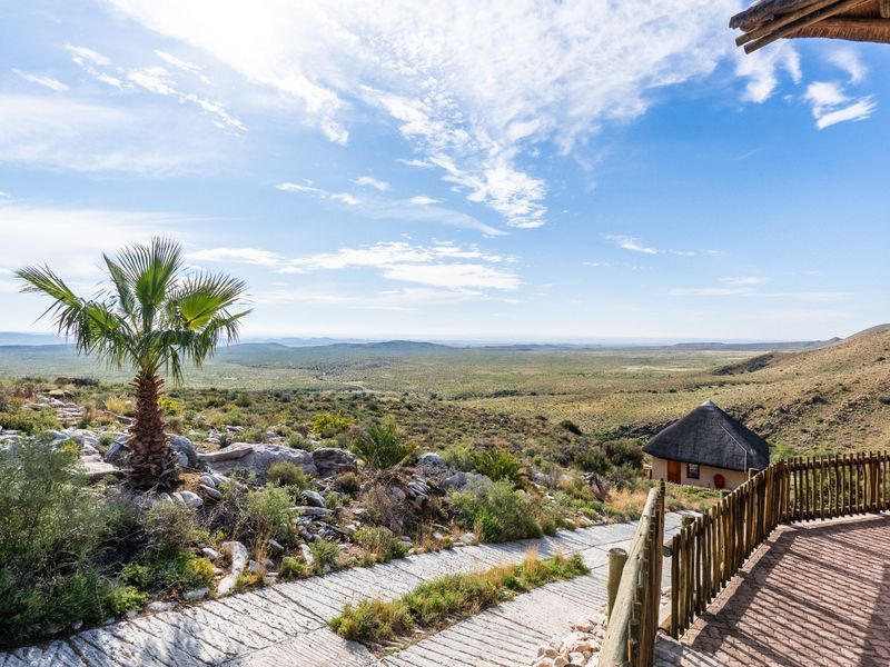 Karoo Farm For Sale - Photo 4