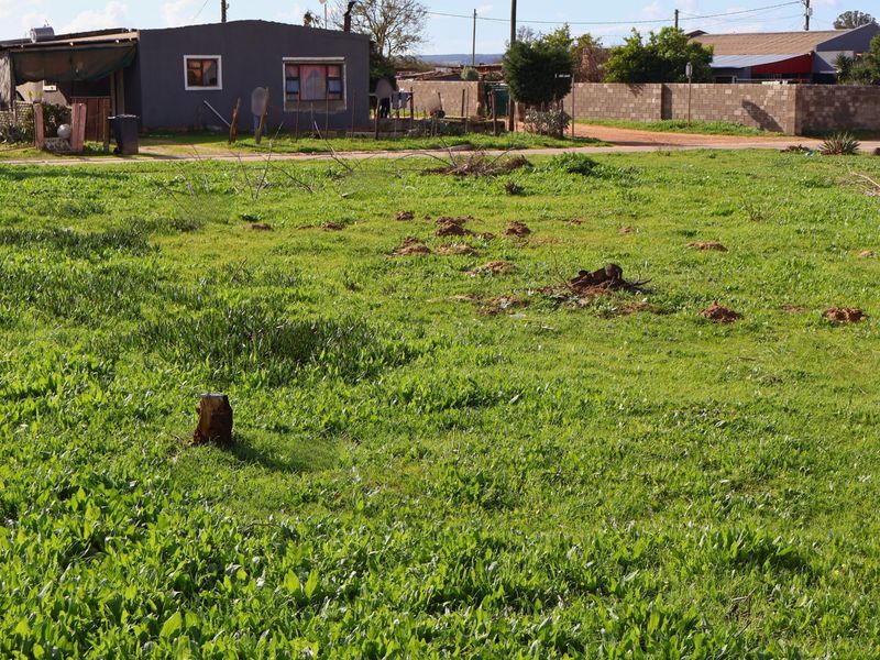 555m2 Vacant Property For Sale in Chatsworth, Malmesbury - Photo 4