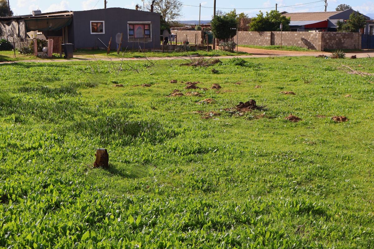 555m2 Vacant Property For Sale in Chatsworth, Malmesbury - Photo 4