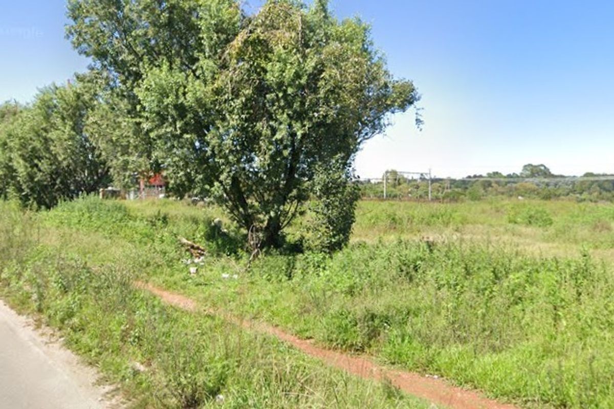 A view of the vacant agricultural land adjacent to a public road, featuring natural vegetation and established trees.
