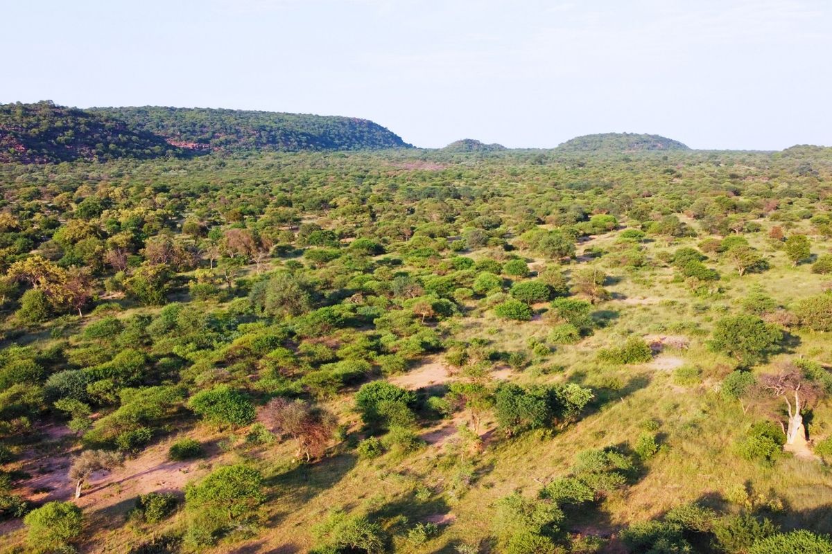 An expansive aerial view of the farm property, showcasing the natural landscape, indigenous vegetation, and surrounding hilly terrain.