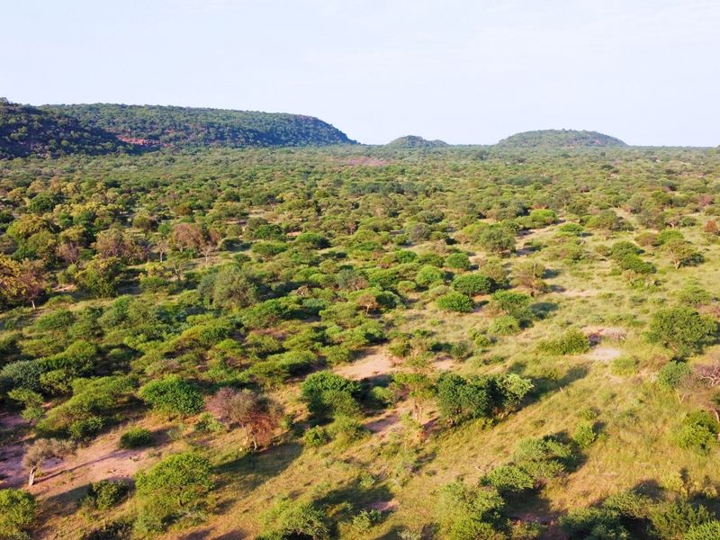 An expansive aerial view of the farm property, showcasing the natural landscape, indigenous vegetation, and surrounding hilly terrain.