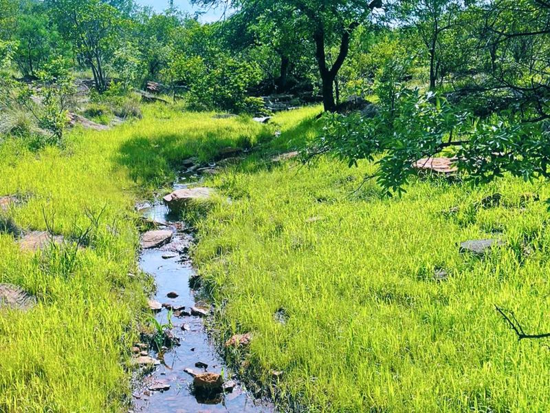 A scenic view of a natural stream flowing through a lush, green, rocky landscape on the farm property.