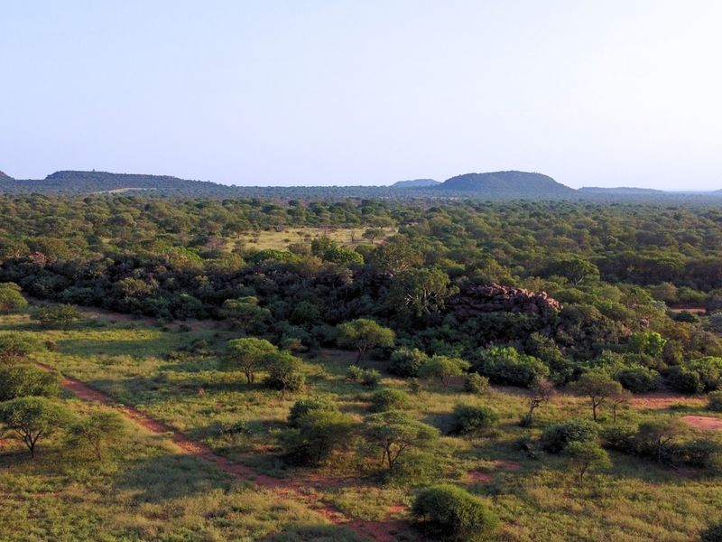 An expansive aerial view of the natural farm landscape featuring indigenous trees, rocky outcrops, and a dirt access track.