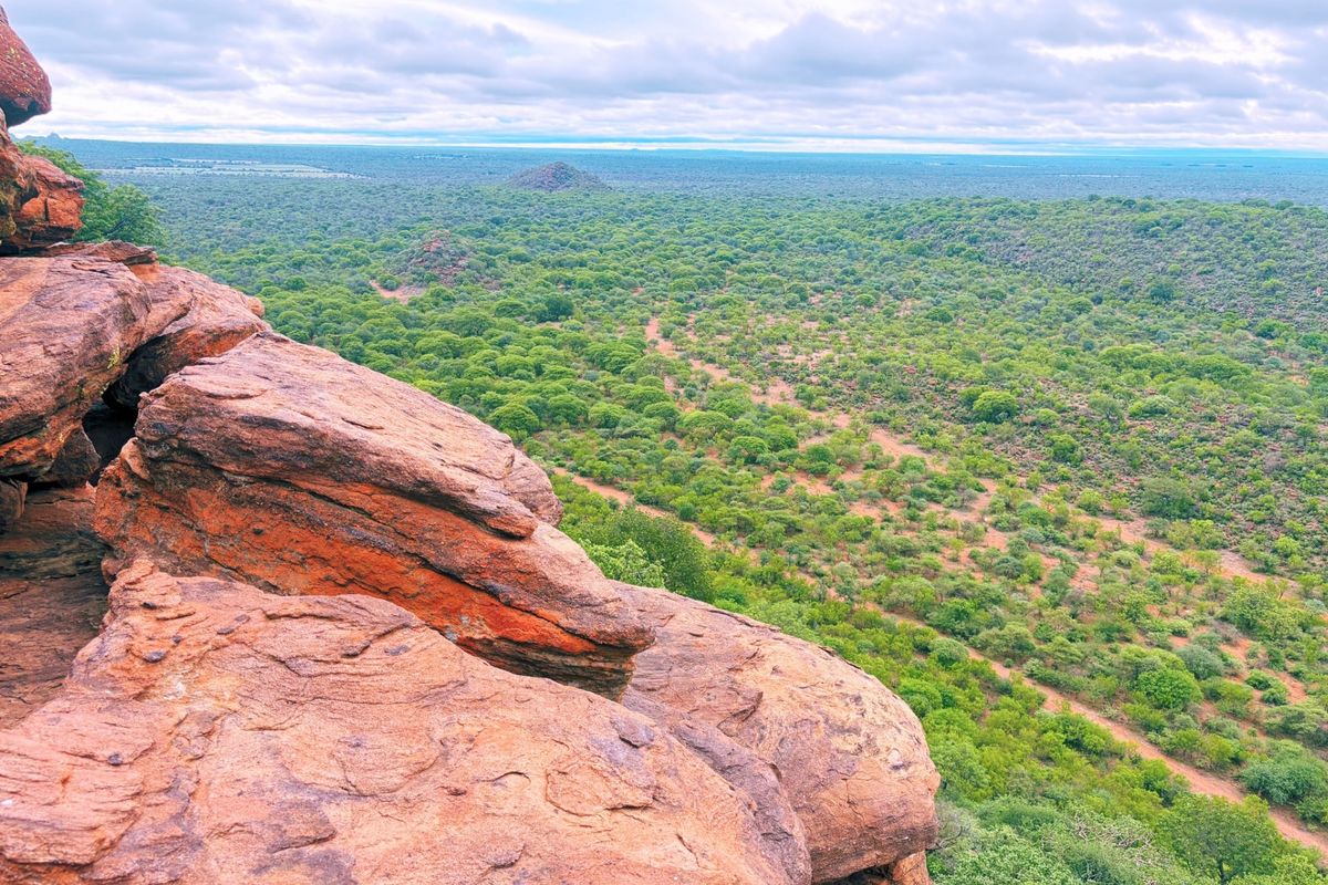 Expansive elevated landscape view overlooking a vast green bushveld valley from a rocky outcrop.