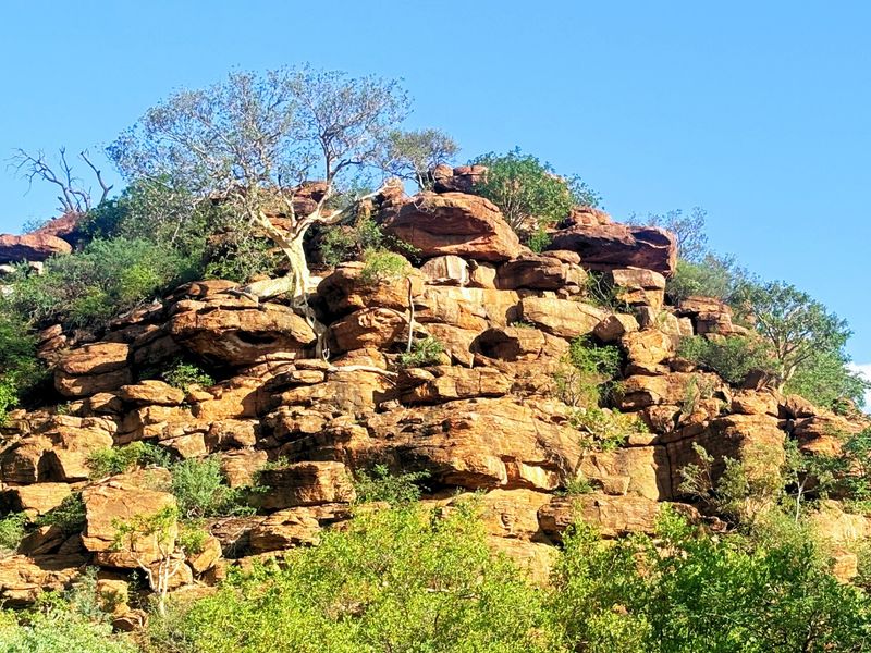 A scenic view of a natural rocky outcrop and indigenous vegetation on the farm property.