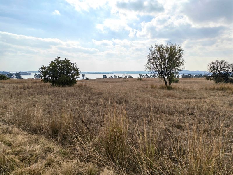 Small Holding For Sale in Metsimaholo, Oranjeville - Photo 10