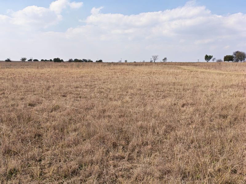 Small Holding For Sale in Metsimaholo, Oranjeville - Photo 7