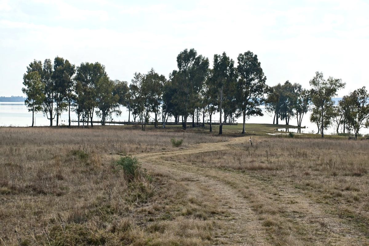Small Holding For Sale in Metsimaholo, Oranjeville - Photo 2
