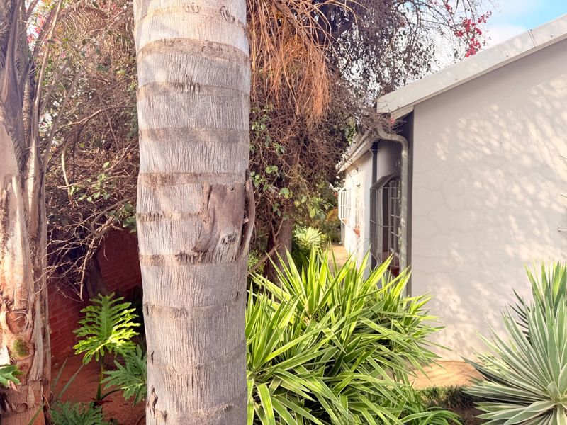 Commercial Property For Sale in Vryheid, KwaZulu Natal - Photo 5