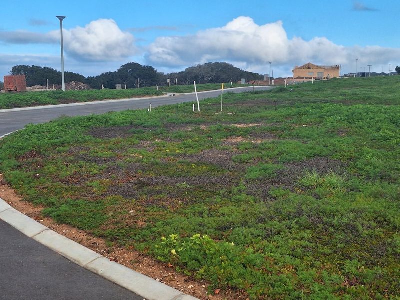 Vacant Land For Sale in Stilbaai Wes, Stilbaai - Photo 8