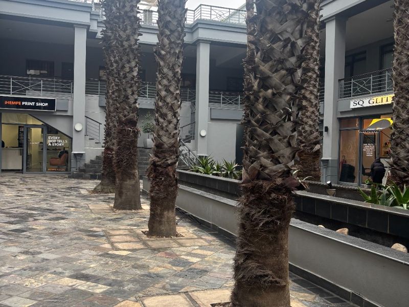 Airbnb-Ready Studio in Cape Town's Trendy East City - Photo 2