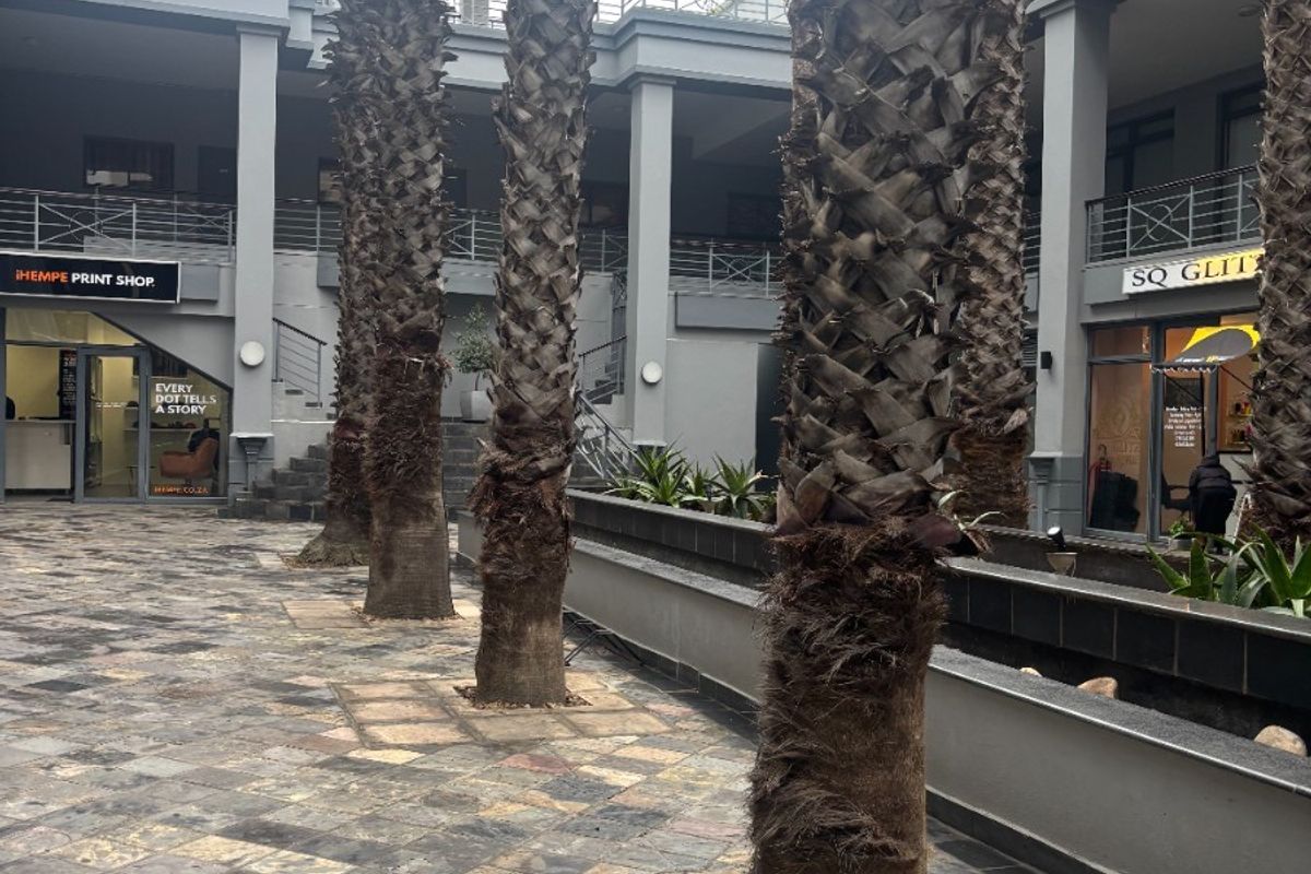 Airbnb-Ready Studio in Cape Town's Trendy East City - Photo 2