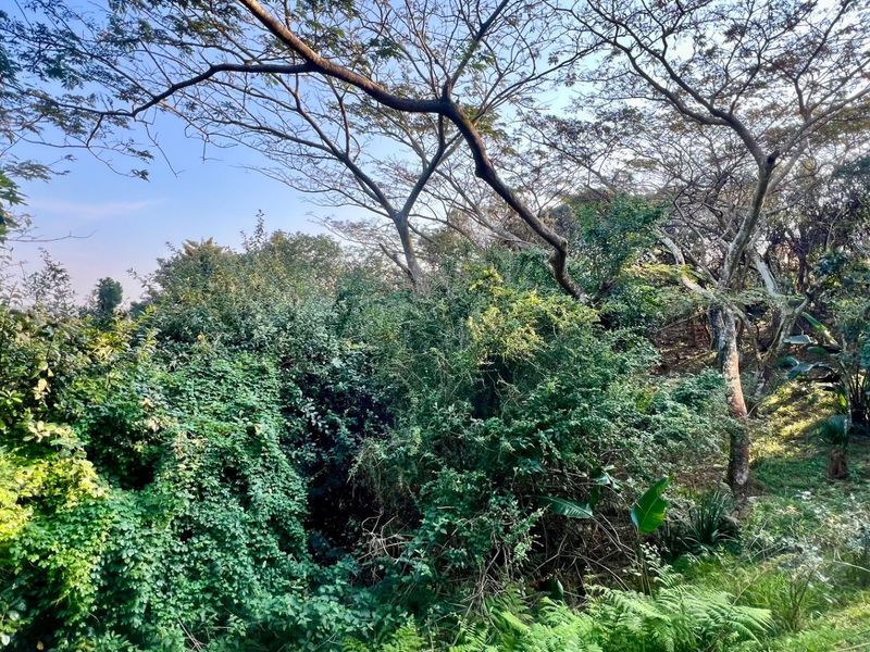 Discover Your Sanctuary in Zimbali Estate - Photo 5