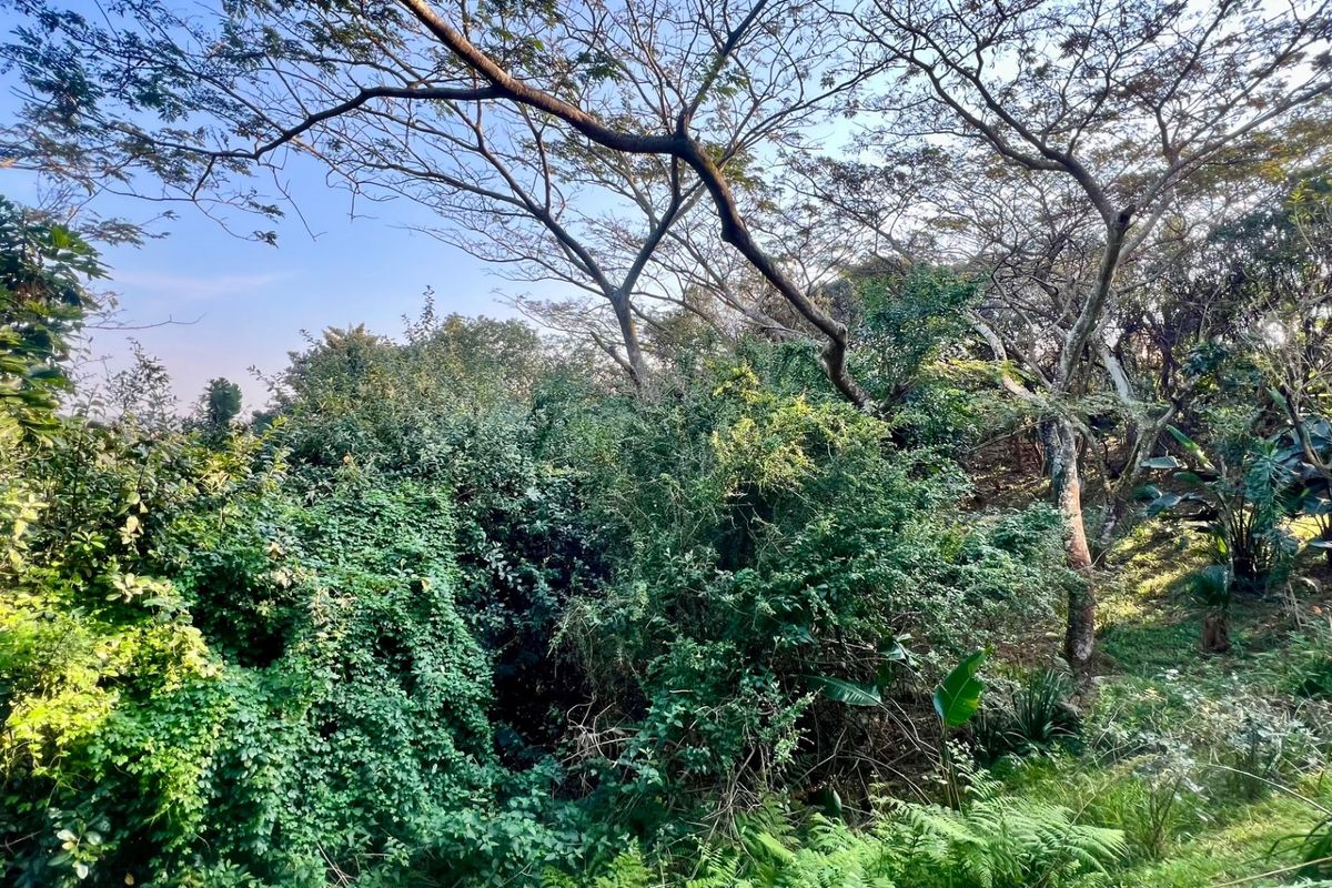Discover Your Sanctuary in Zimbali Estate - Photo 5