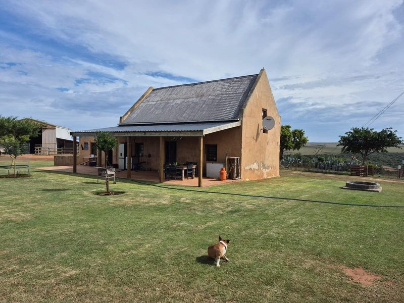 Farm For Sale - Photo 3