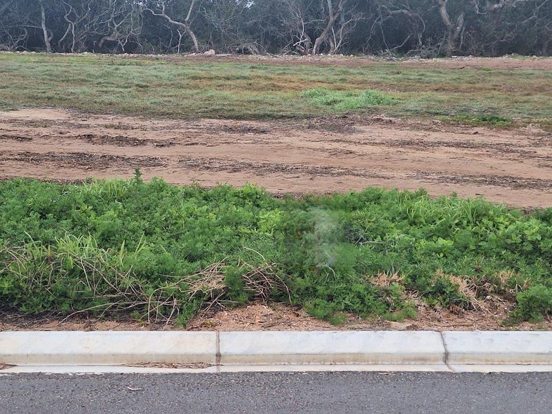 Vacant Land For Sale in Stilbaai Wes, Stilbaai - Photo 9