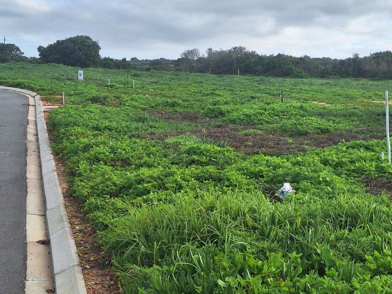 Vacant Land For Sale in Stilbaai Wes, Stilbaai - Photo 10