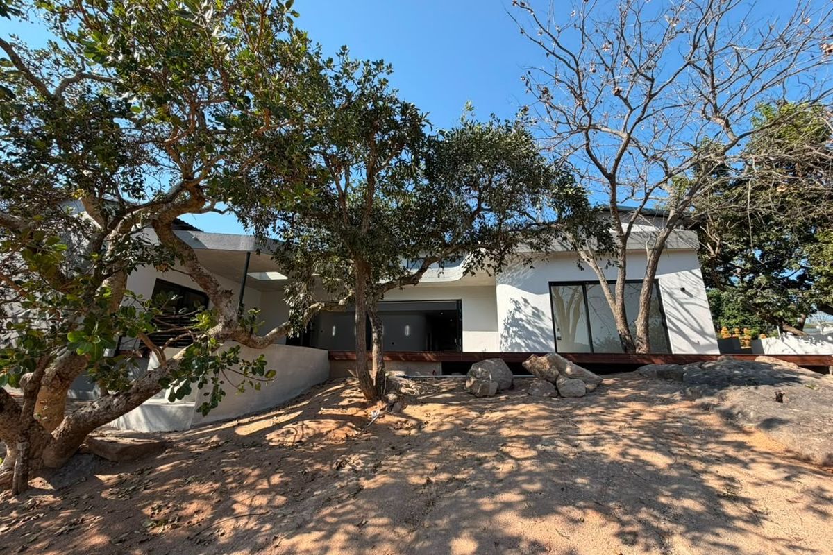 Rear view of a modern house featuring a raised timber deck, large glass sliding doors, and a natural landscaped garden with mature trees.