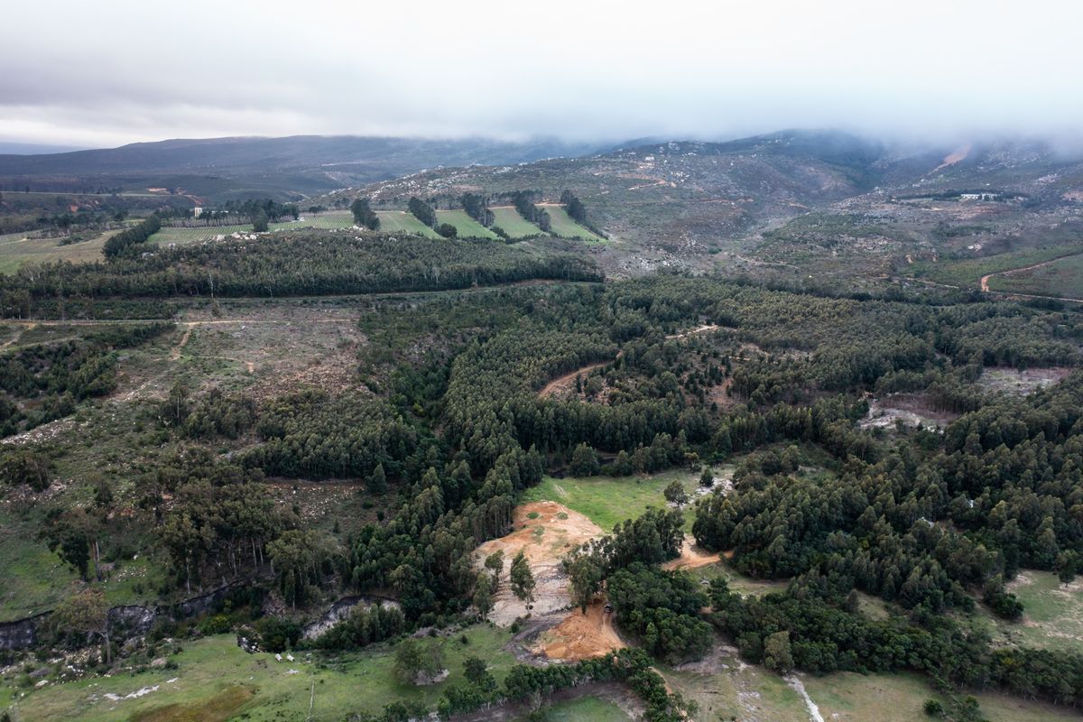 An aerial view of a large, undeveloped residential land parcel featuring natural vegetation, rolling terrain, and scenic mountain views.