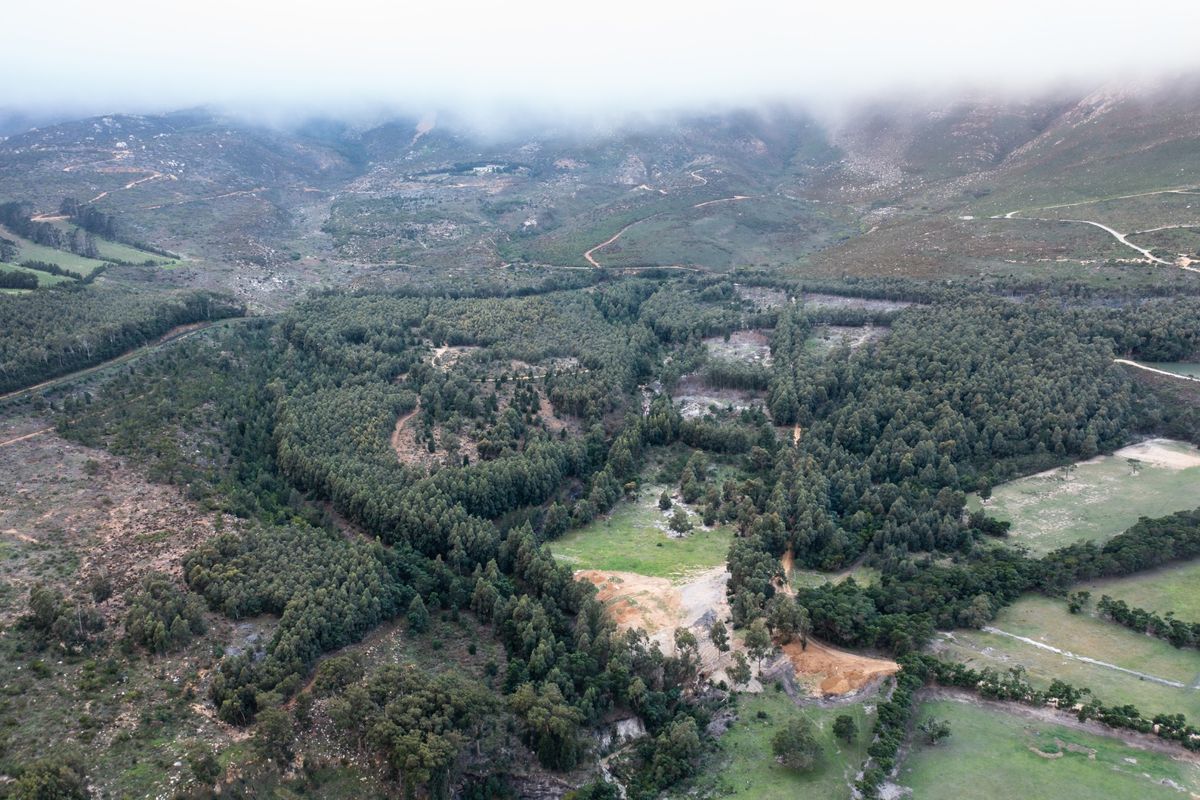 An aerial view of a large, undeveloped residential land parcel featuring dense native vegetation and mountainous surroundings.