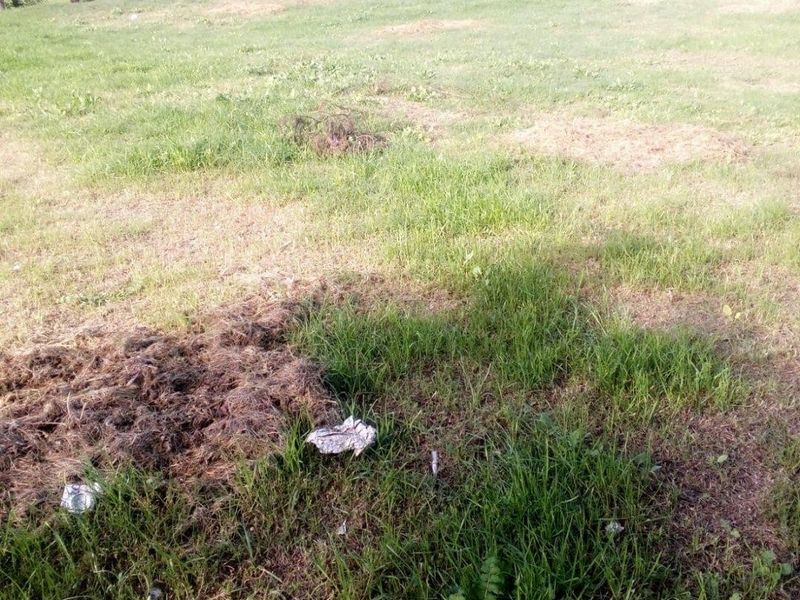 Vacant Land For Sale in Slangrivier, Heidelberg - Photo 5