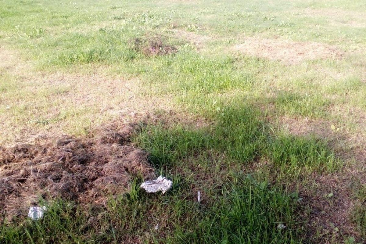 Vacant Land For Sale in Slangrivier, Heidelberg - Photo 5