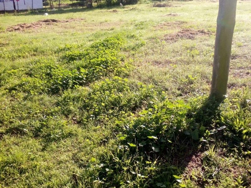 Vacant Land For Sale in Slangrivier, Heidelberg - Photo 3