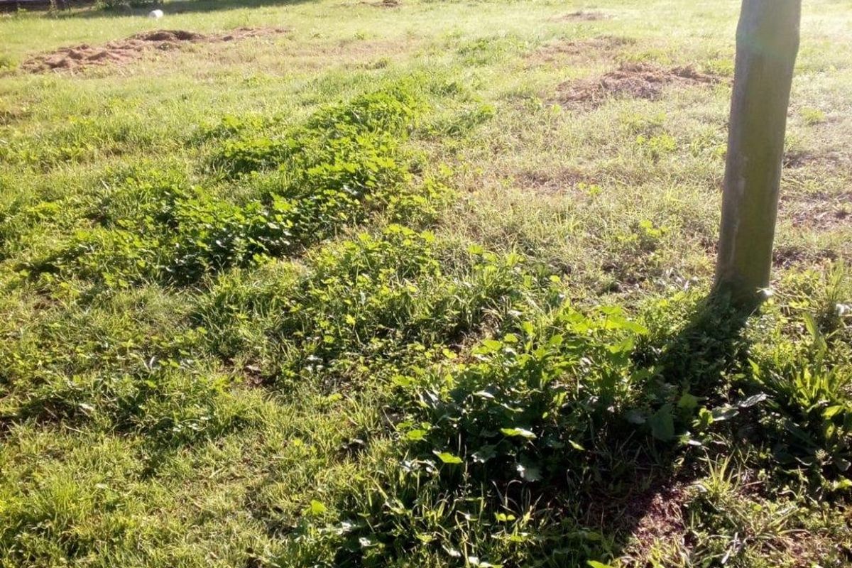 Vacant Land For Sale in Slangrivier, Heidelberg - Photo 3