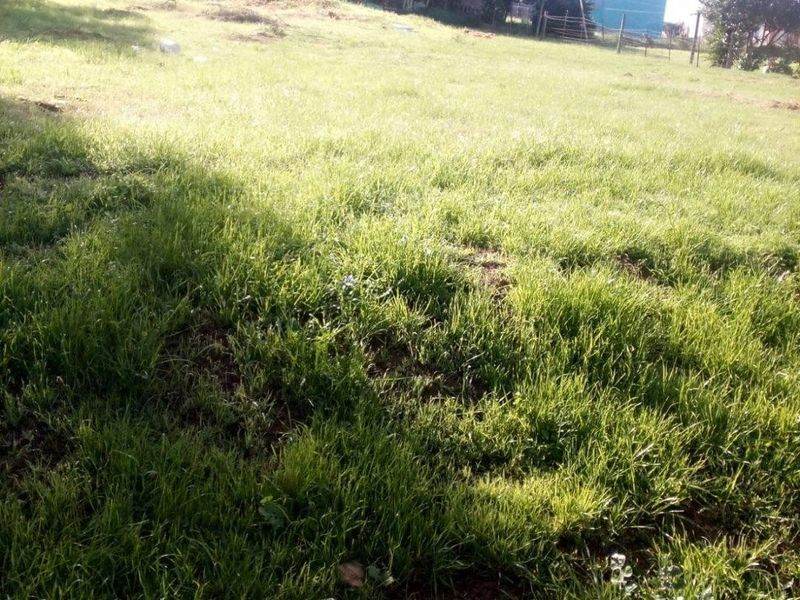 Vacant Land For Sale in Slangrivier, Heidelberg - Photo 7