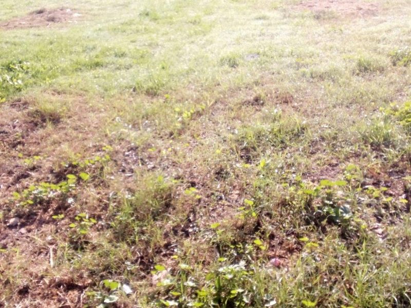 Vacant Land For Sale in Slangrivier, Heidelberg - Photo 6