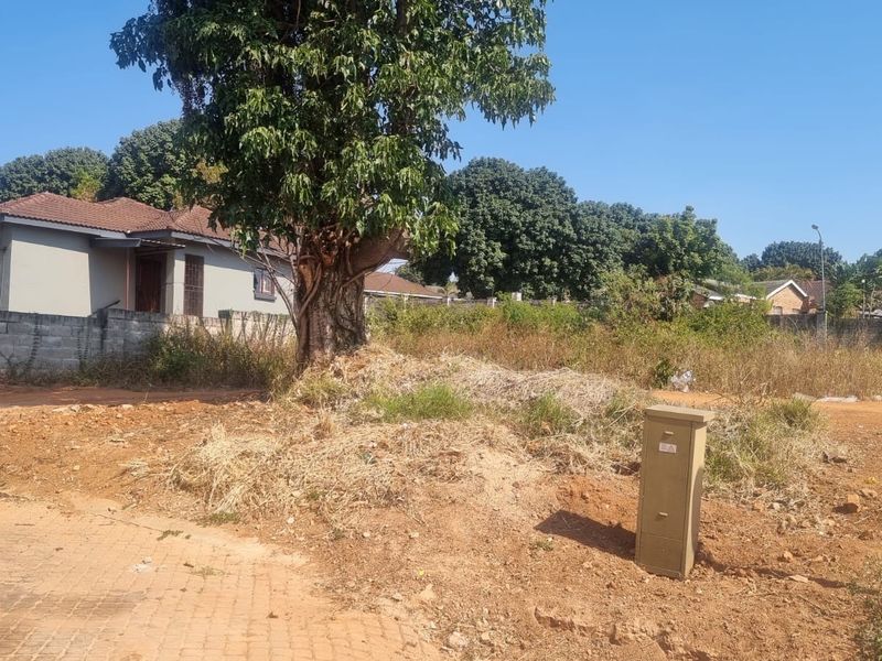 A vacant residential plot featuring a large mature tree, utility connection box, and surrounding neighborhood context.