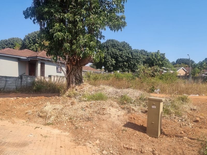 A vacant residential plot featuring natural vegetation, a large mature tree, and an existing utility connection point, situated in a developed neighborhood.