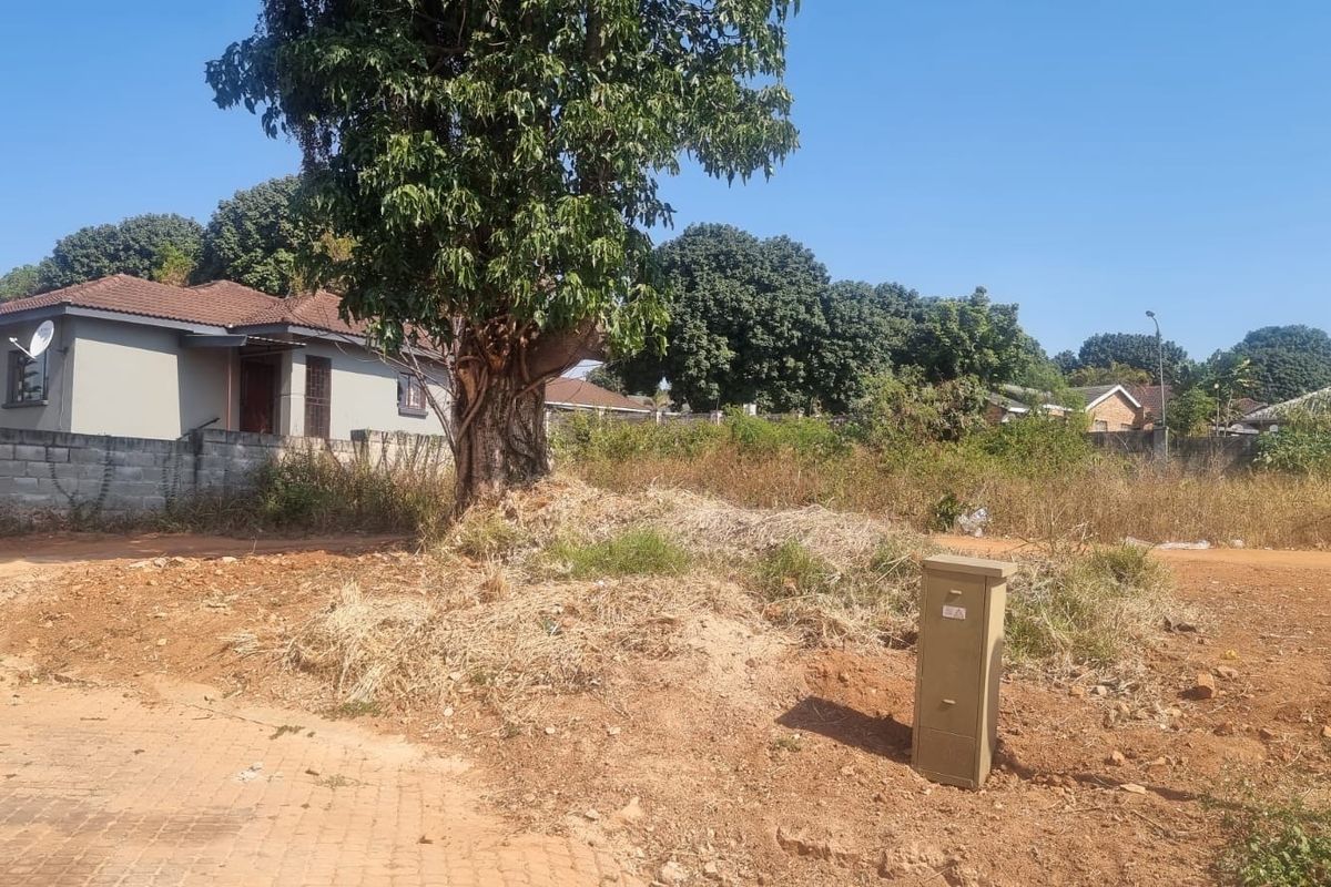 A vacant residential plot featuring natural vegetation, a large mature tree, and an existing utility connection point, situated in a developed neighborhood.