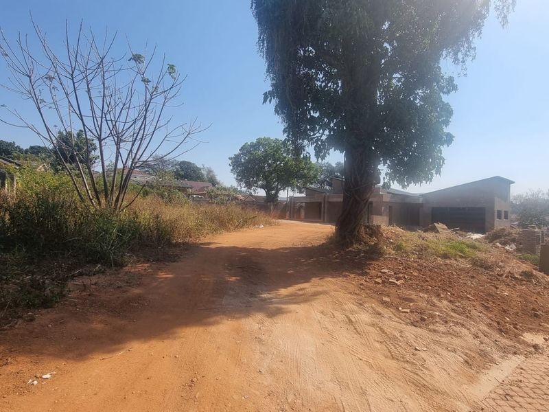 A view of a vacant residential plot featuring unpaved access, mature trees, and surrounding boundary walls, offering potential for future development.