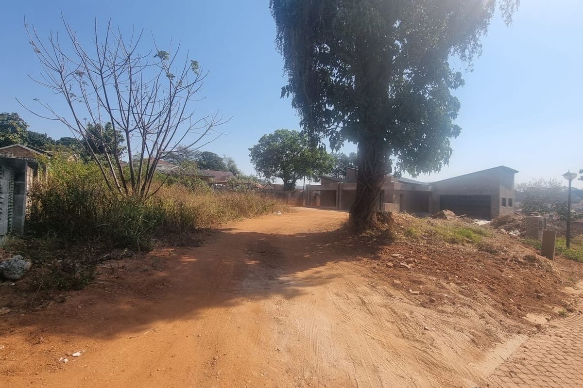 A view of a vacant residential plot featuring unpaved access, mature trees, and surrounding boundary walls, offering potential for future development.