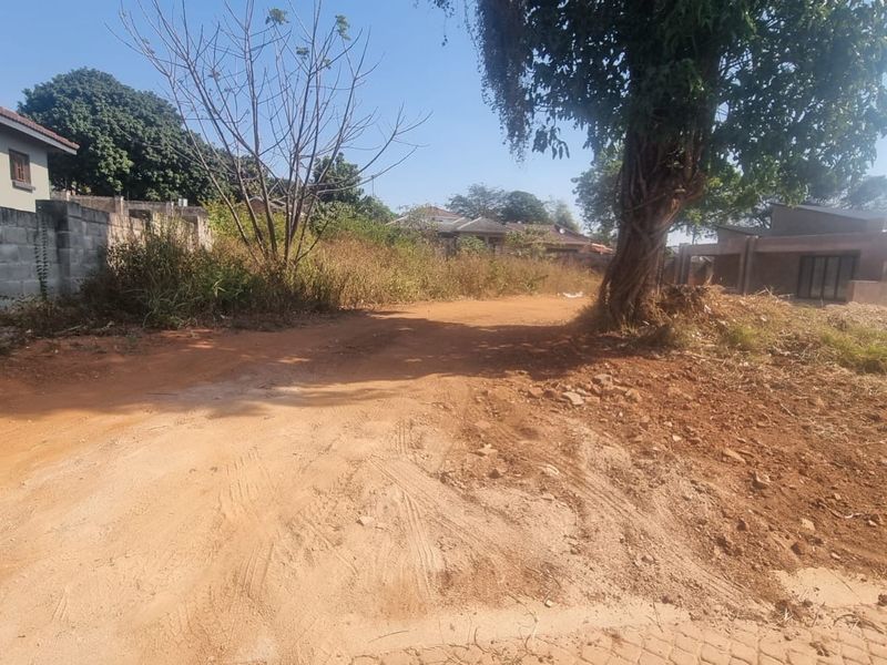 A view of a vacant residential plot featuring unpaved access, natural vegetation, and surrounding residential boundary walls.