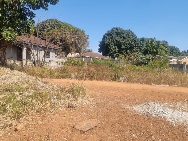 A vacant residential plot featuring natural ground cover, mature trees, and perimeter boundary walls in a established neighborhood setting.