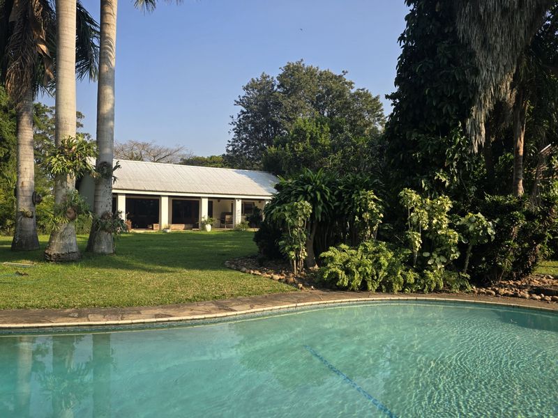 A serene outdoor pool area featuring a swimming pool with stone coping, overlooking a lush garden and a covered patio of the main residence.
