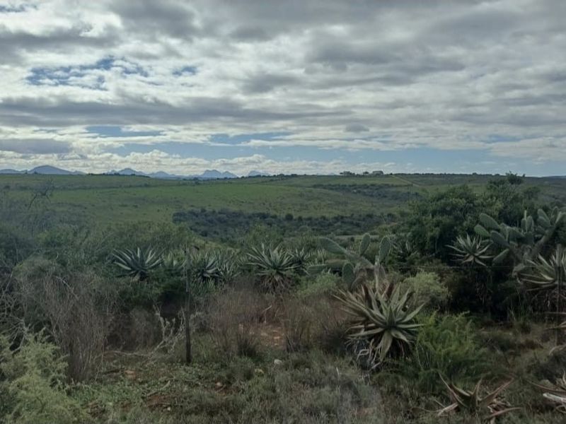 Farm For Sale in Mossel Bay Rural, Mossel Bay - Photo 3