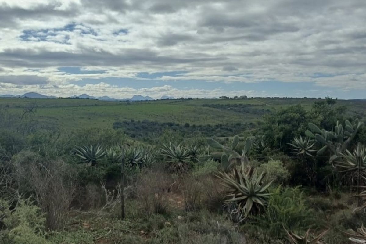 Farm For Sale in Mossel Bay Rural, Mossel Bay - Photo 3
