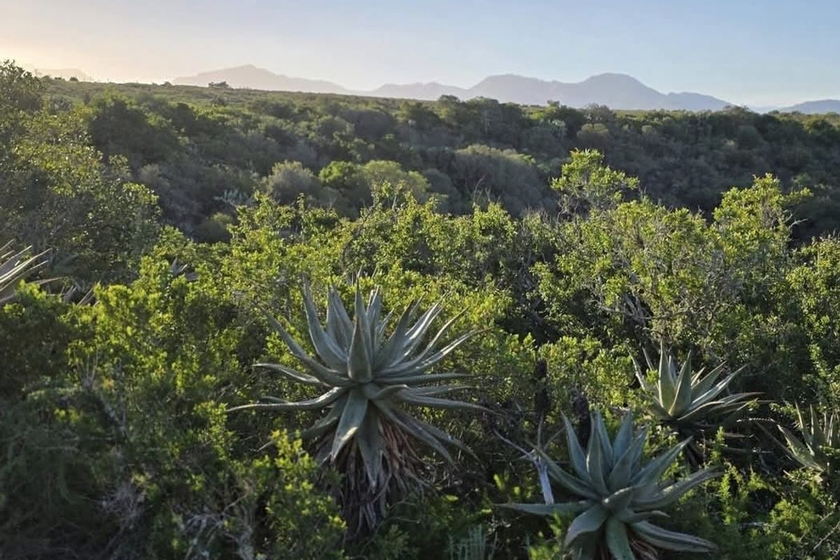 Farm For Sale in Mossel Bay Rural, Mossel Bay - Photo 2