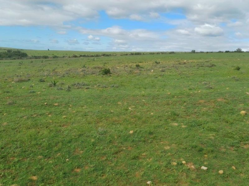 Farm For Sale in Mossel Bay Rural, Mossel Bay - Photo 4